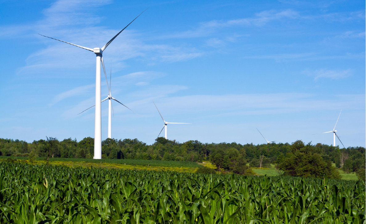 Several wind turbines in a space with grass and blue skies