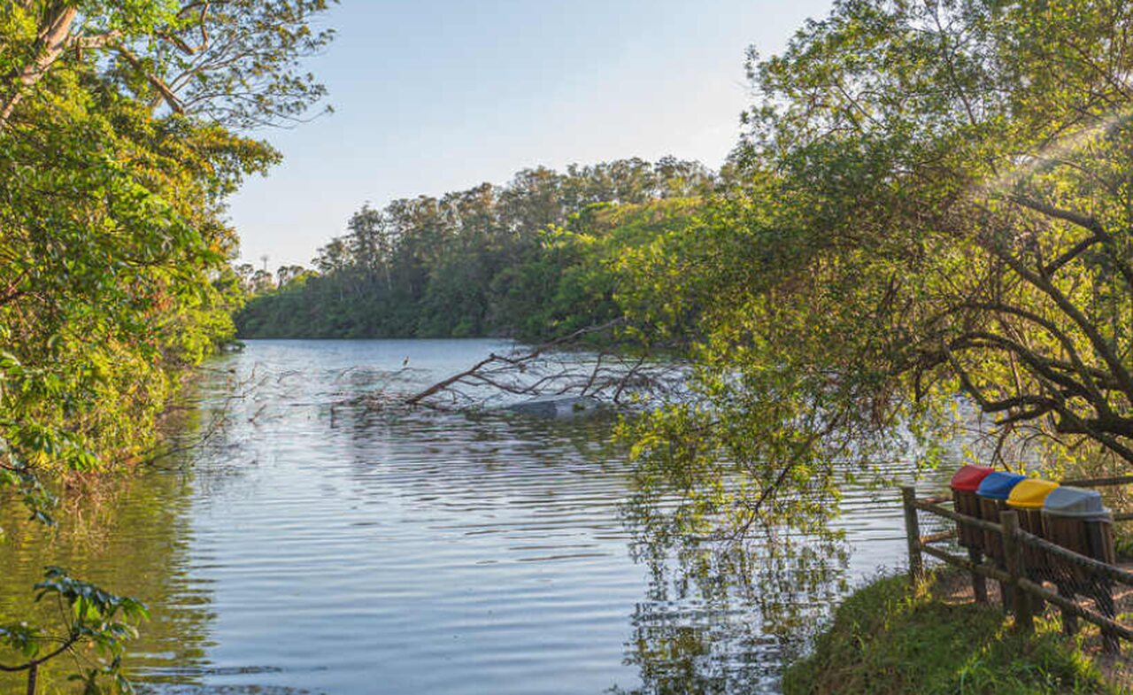 rio centralizado em mata verde 