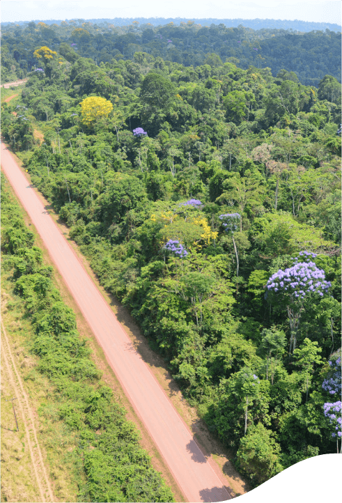 Aerial view of a dirt road running through a dense forest. The forest is lush and green with various trees, some of which have yellow and purple flowers. The road is straight and appears to be well-maintained, cutting through the greenery on the left side of the image. There are no visible vehicles or people on the road.
