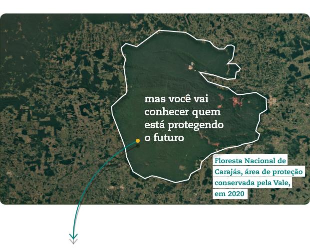 Vista aérea de mapa com linha em volta demarcando a floresta nacional de carajás.