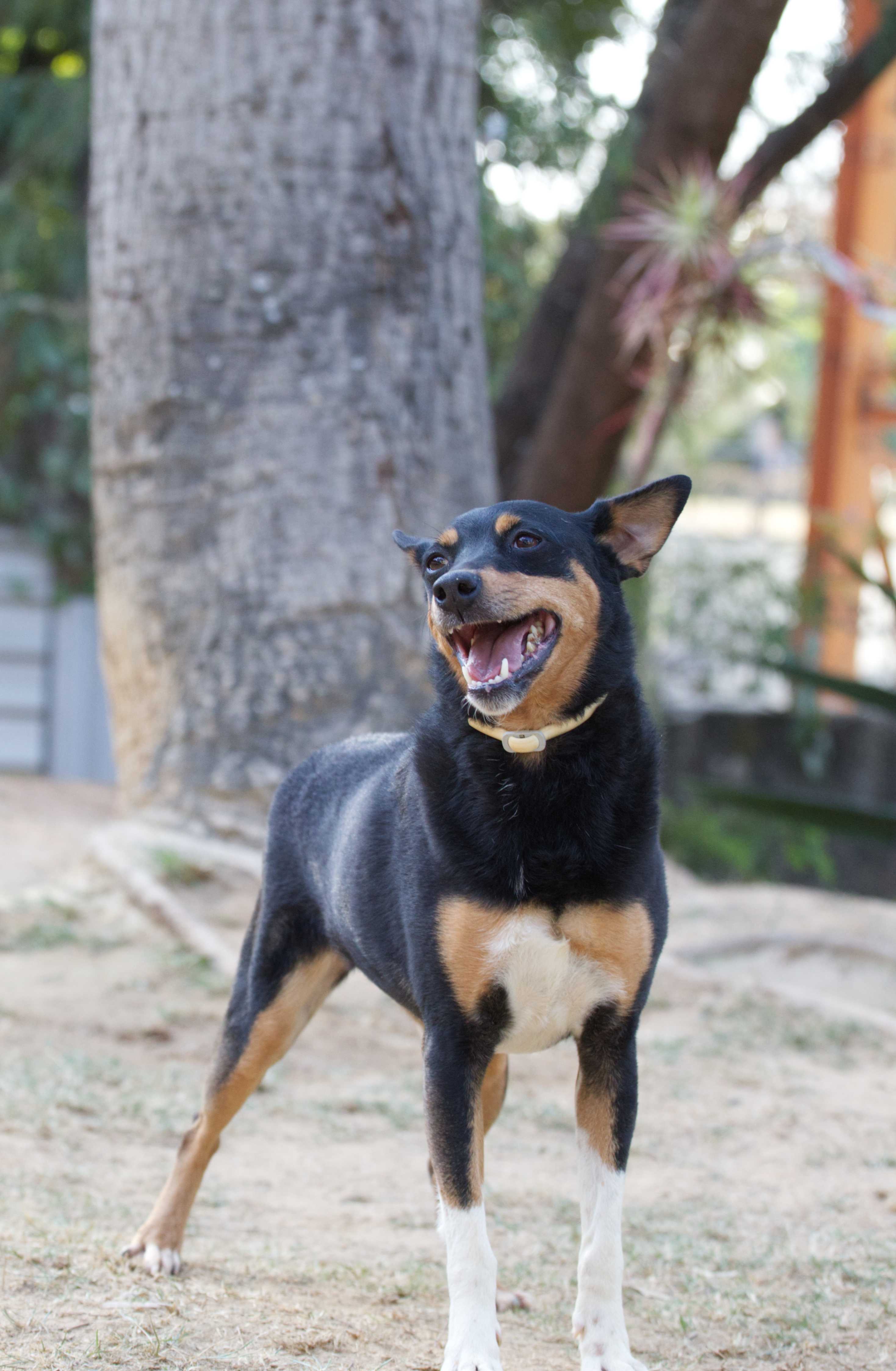 Lupita