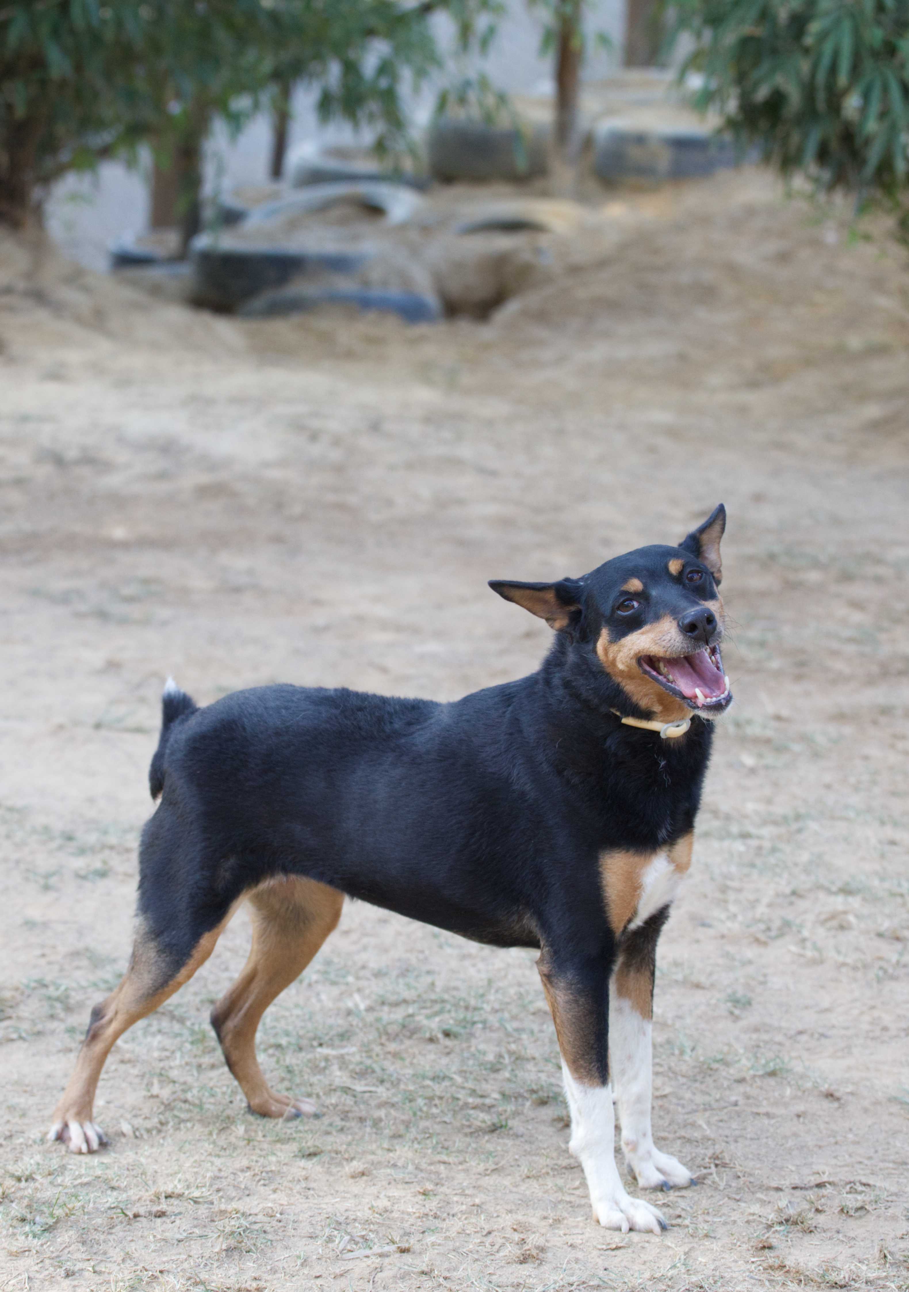 Lupita