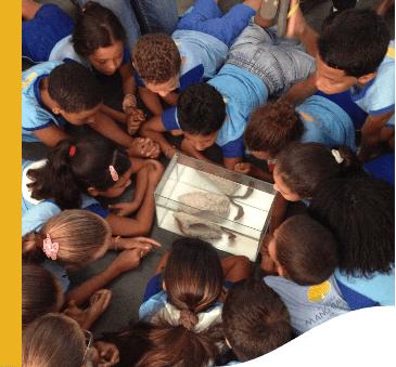 Photo of several children around an aquarium, watching the animal in there.