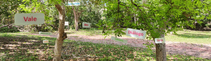 Trees with hanging notes. It is possible to see messages like 'dialogue'; “affection”, “companionship”.