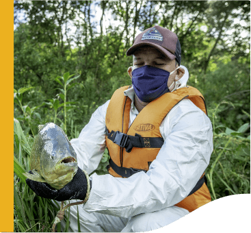 In a vegetation area, a man wearing a cap, a face mask, a vest and gloves is holding a fish.