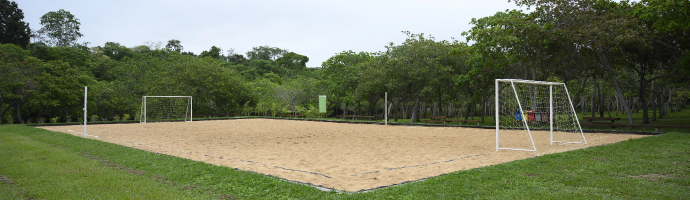 Beach soccer field. Around the place, there is a lawn, and in the background, trees.