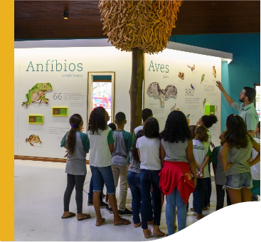 Diversas crianças, com uniformes escolares, prestam atenção em uma exposição. Na parede, há dados sobre anfíbios e aves. No teto, há uma escultura de madeira semelhante a uma comédia.