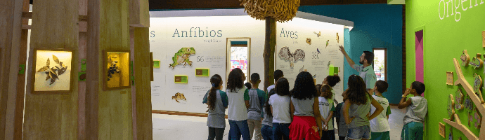 Diversas crianças, com uniformes escolares, prestam atenção em uma exposição. Na parede, há dados sobre anfíbios e aves. No teto, há uma escultura de madeira semelhante a uma comédia.