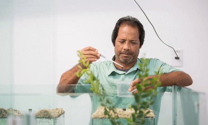 Empregado Vale segura, com o auxílio de uma pinça, uma pequena formiga. Na frente dele há uma planta