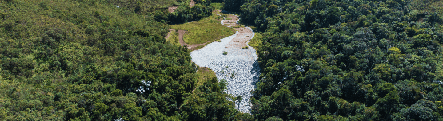 Dam being uncharacterized and with vegetation around it.