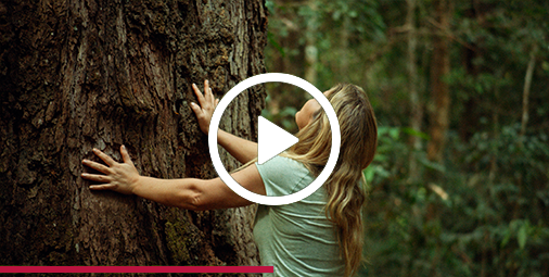 A woman rests both hands on a tree trunk while looking up at the top of the tree.