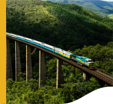 Vale Train going along an elevated railroad. All around it is possible to see a mountainous landscape full of vegetation.