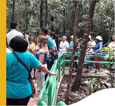 Diversas pessoas fazem uma trilha. O local é protegido por um corrimão e tem diversas árvores ao redor.