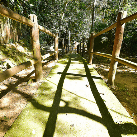 Foto de um caminho de cimento com cerca de madeira e a vegetação com árvores em volta.