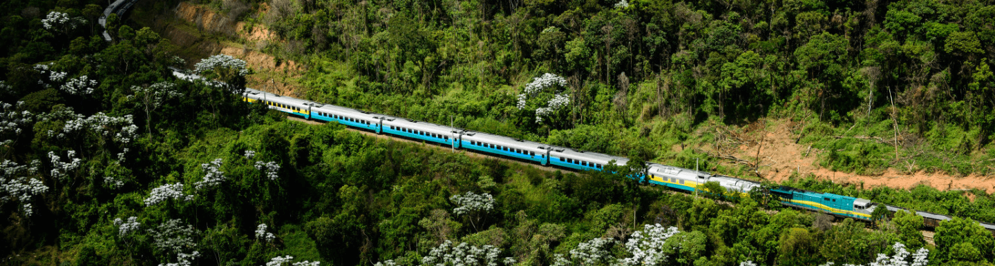 Photo taken from the top of Vale passenger train passing on tracks in the middle of a region full of trees.