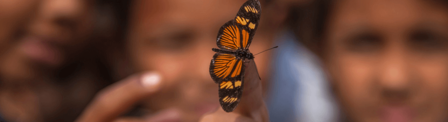 Borboleta nas cores laranja e preto em primeiro plano. Ao fundo, fora de foco, estão duas crianças.