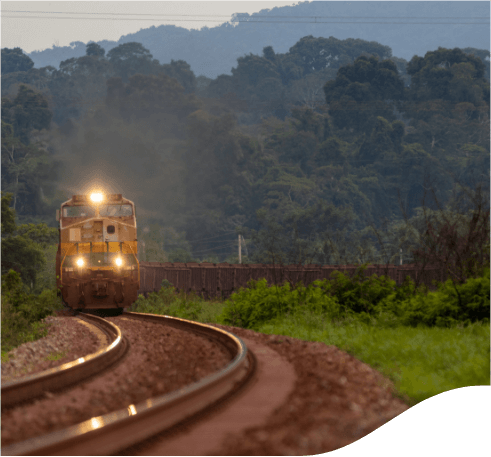 Train is driving along a road with its lights on. The surrounding landscape is jungle