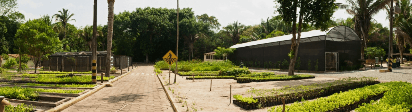 Space with trees and a cobblestone path and a sign indicating crossing. There is a warehouse to the right.