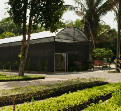 Space with trees and a cobblestone path and a sign indicating crossing. There is a warehouse to the right.