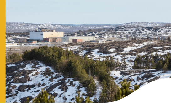 View of Ontario. The city is covered in snow and there is a lot of vegetation.