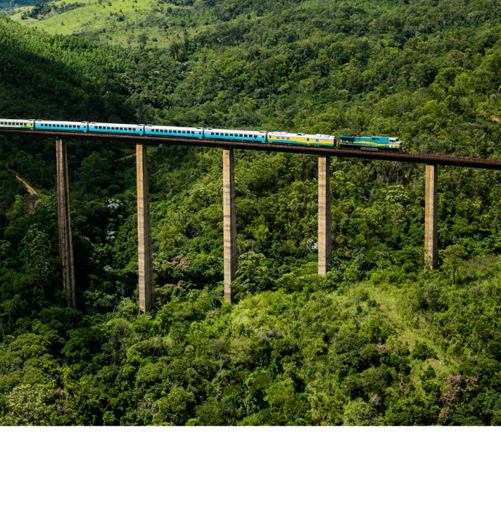 Foto panorâmica do trem de passageiros Vale em uma área de mata