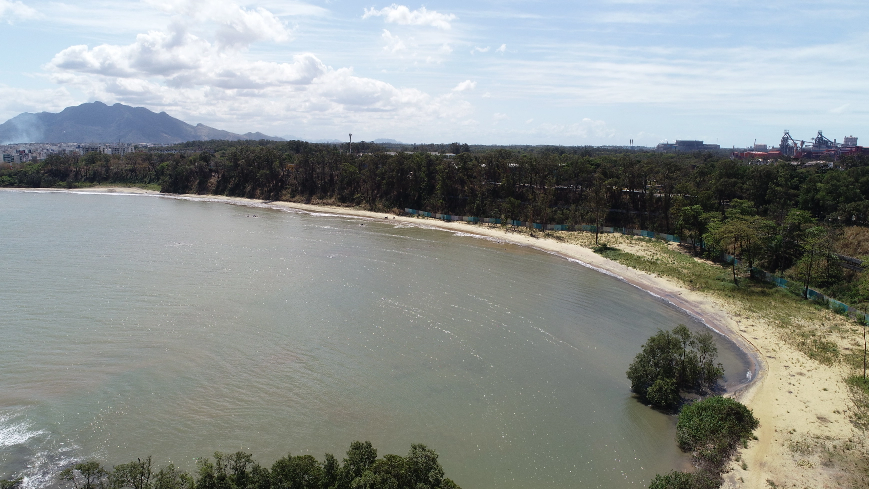 Água da praia em visão ampliada com vegetação viva, árvores e areia ao redor.