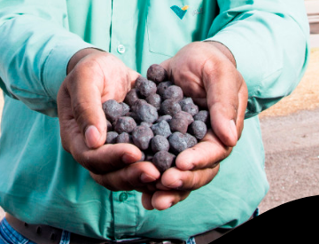 Male hands holding pebbles