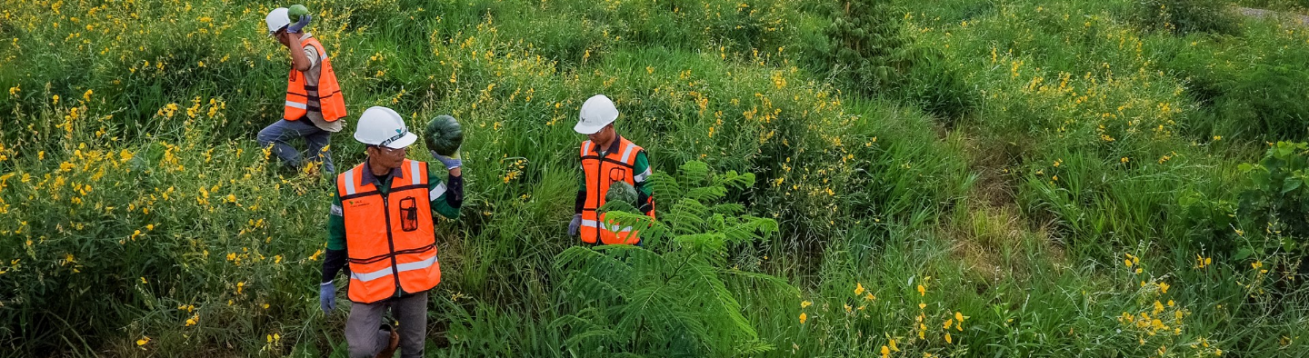 Uniformed employees with protective equipment explore field