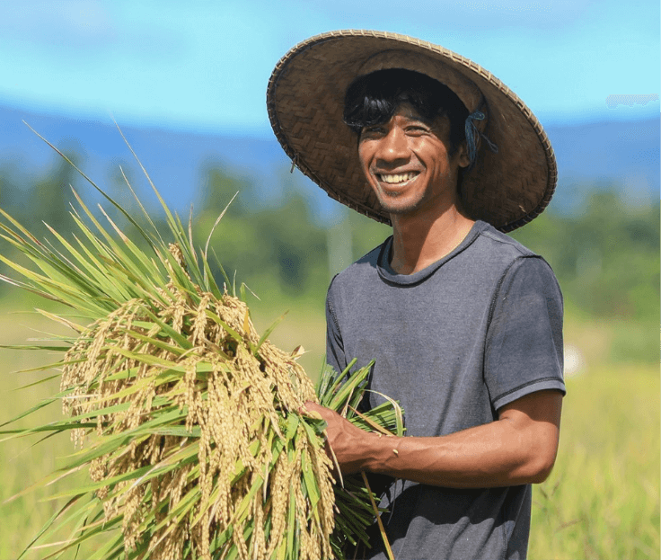 Seorang pria yang mengenakan topi jerami tersenyum di perkebunan gandum.