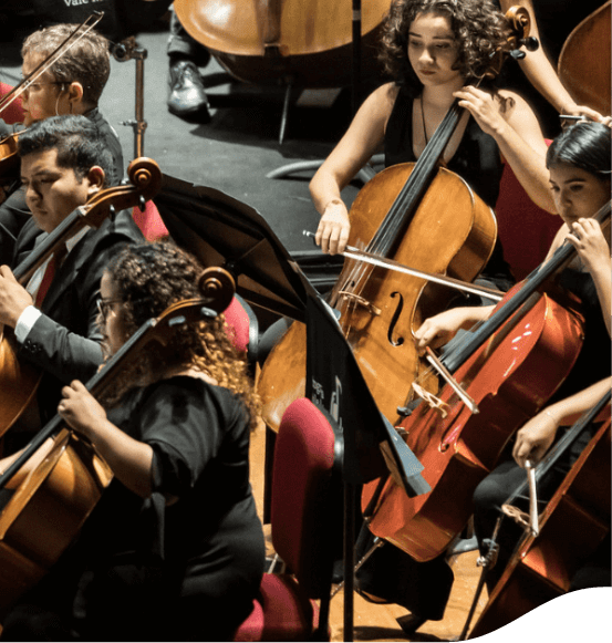 Orquestra vestida de preto. É possível ver dois homens e três mulheres, todos tocando violoncelo.