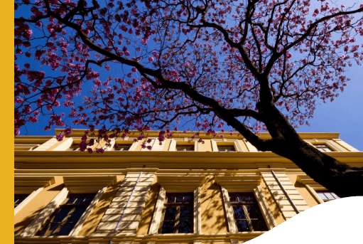 Photo taken from the bottom up of the Vale Memorial. You can see part of the facade, with about six windows and a flowering tree in front.