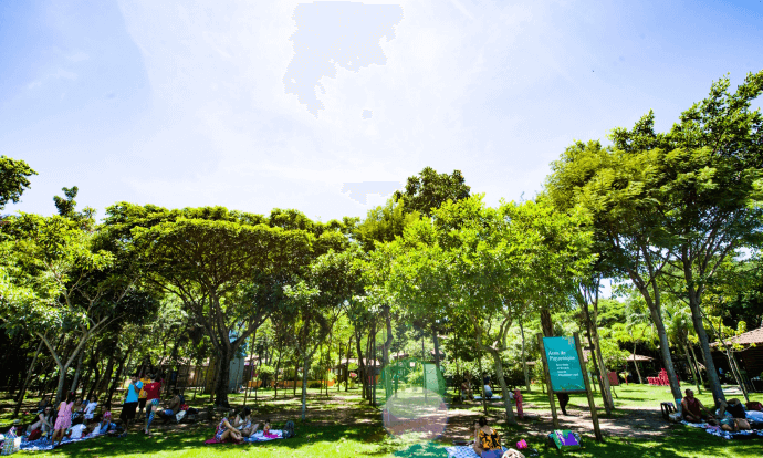 Foto de um gramado verde com árvores em um dia ensolarado e várias pessoas sentadas na grama com toalhas fazendo pic-nic