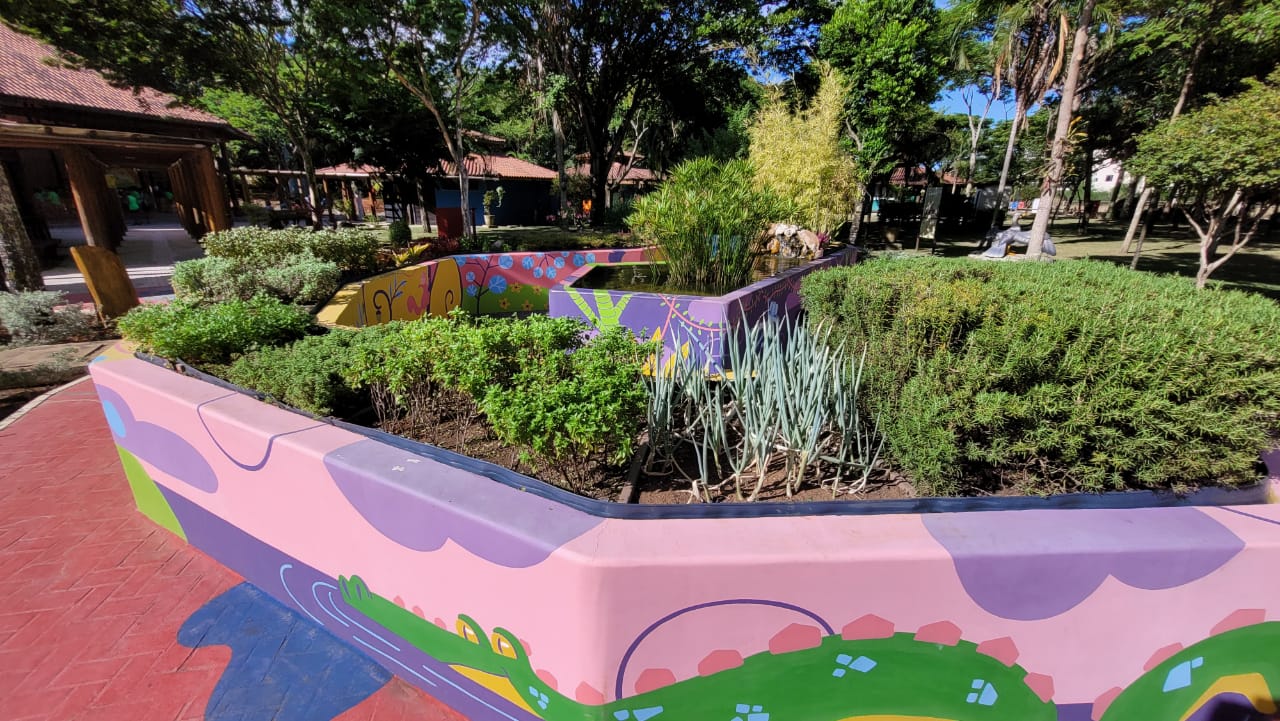 imagem de um Jardim sensorial com vários tipos de plantas verdes pequenas em um muro baixo desenhado, em um dia ensolarado.