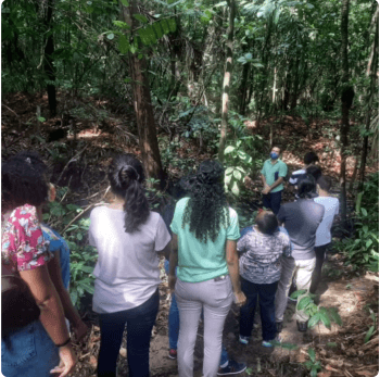 Diversas pessoas em fila fazem uma trilha por um local repleto de árvores.