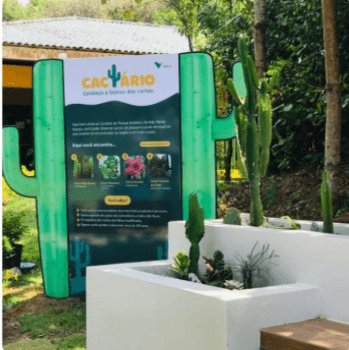 Uma placa sinaliza a entrada de um cactário. Ao lado, há uma estrutura de concreto branca com alguns cactos e, ao fundo, várias árvores.