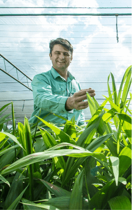 A man wears a shirt in a light shade of green. He is smiling and touching some plants that are in front of him.