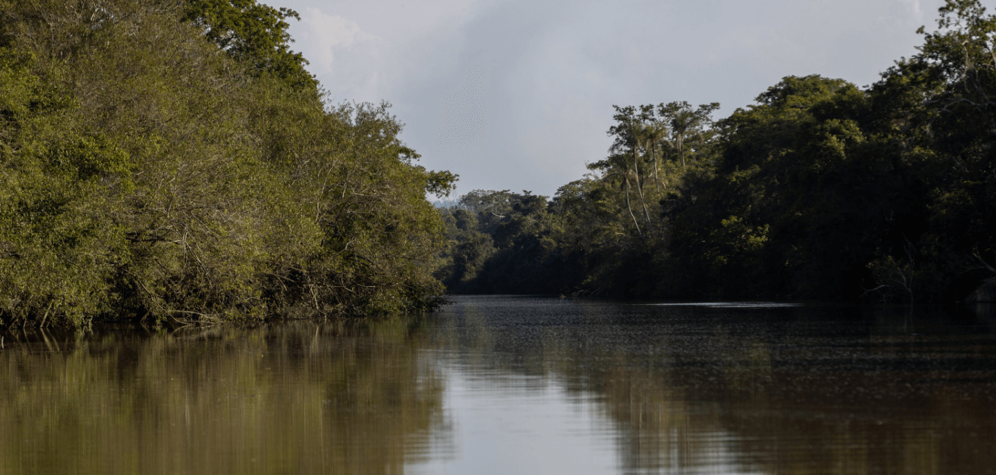 Imagem de um rio com águas escuras. Ao lado, há uma densa vegetação.