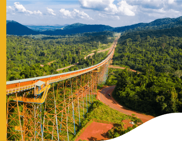 Foto com grandes estruturas de ferro e trilho no alto com trem passando e em volta uma grande vegetação