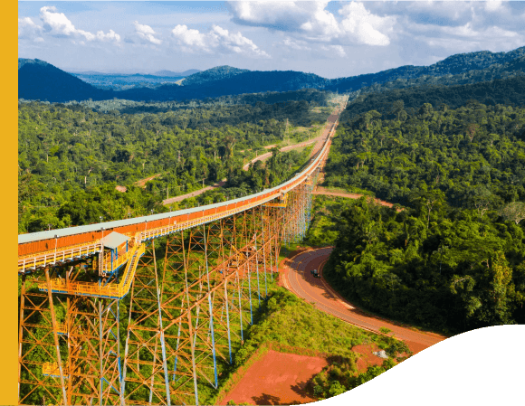 Photo with large iron structures and rail at the top with a train passing and big vegetation around
