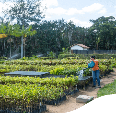 Uma mulher de calça jeans e camiseta laranja segura um regador azul e joga água em plantas que estão à sua frente. Ao fundo está uma casa branca e um espaço cheio de plantas e árvores.