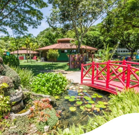 Photo of a park on a sunny day with trees, plants and a lake with a red bridge.