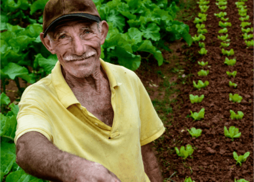 Idoso sorrindo para a câmera com uma das mãos segurando um machado. Atrás dele, há diversas plantações.