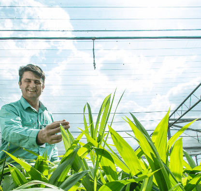 Vale employee inside a greenhouse with several plants. He is wearing a green uniform and smiles.