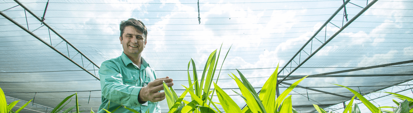 Empregado Vale dentro de uma estufa com diversas plantas. Ele está de uniforme verde e sorri.