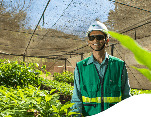 Vale employee inside a greenhouse with several plants. He wears a vest, sunglasses, and a protective helmet.