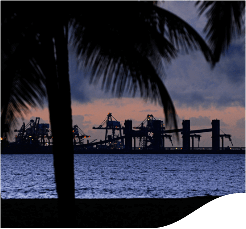 Photo of a landscape at dusk with palm trees, a big lake and metal structures in the background.