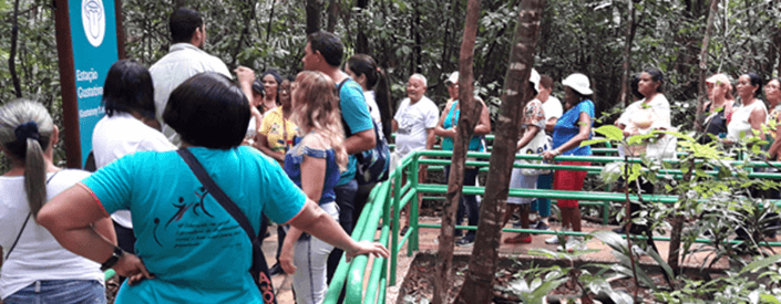 Several people walk a trail. The site is protected by a handrail and there are several trees around it.