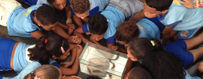 Foto de várias crianças ao redor de um aquário, observando o animal que está ali.