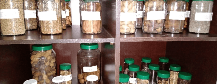 Several plastic pots with green lids are arranged in a brown cabinet. Inside the pots, several types of seeds.