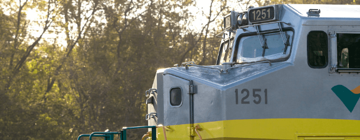 Imagem externa da cabine do trem Vale. Ele é cinza na parte de cima e tem faixas verde e amarela na parte de baixo. O número 1251 aparece duas vezes na lataria do trem.